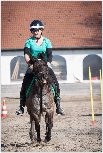 MountedGamesBayrischeMeisterschaft2015 361