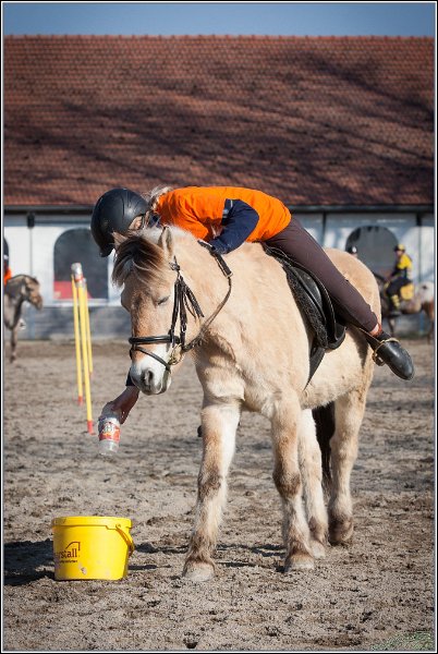 MountedGamesBayrischeMeisterschaft2015 362