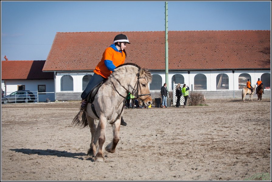 MountedGamesBayrischeMeisterschaft2015 363