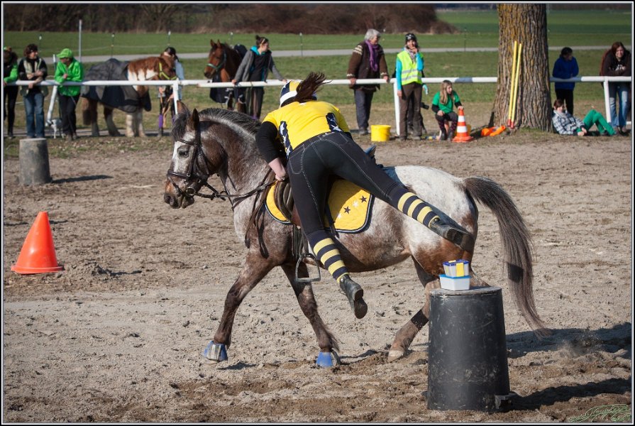 MountedGamesBayrischeMeisterschaft2015 368