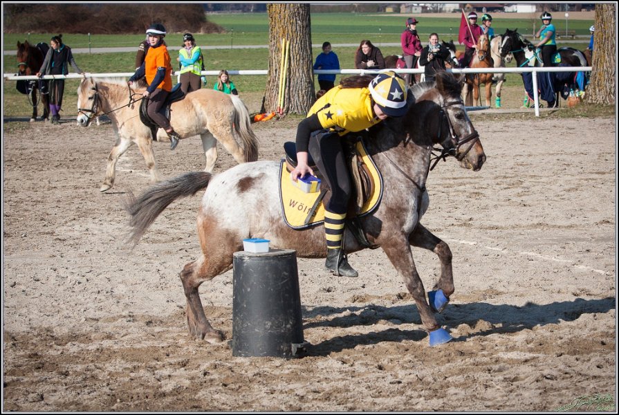 MountedGamesBayrischeMeisterschaft2015 369