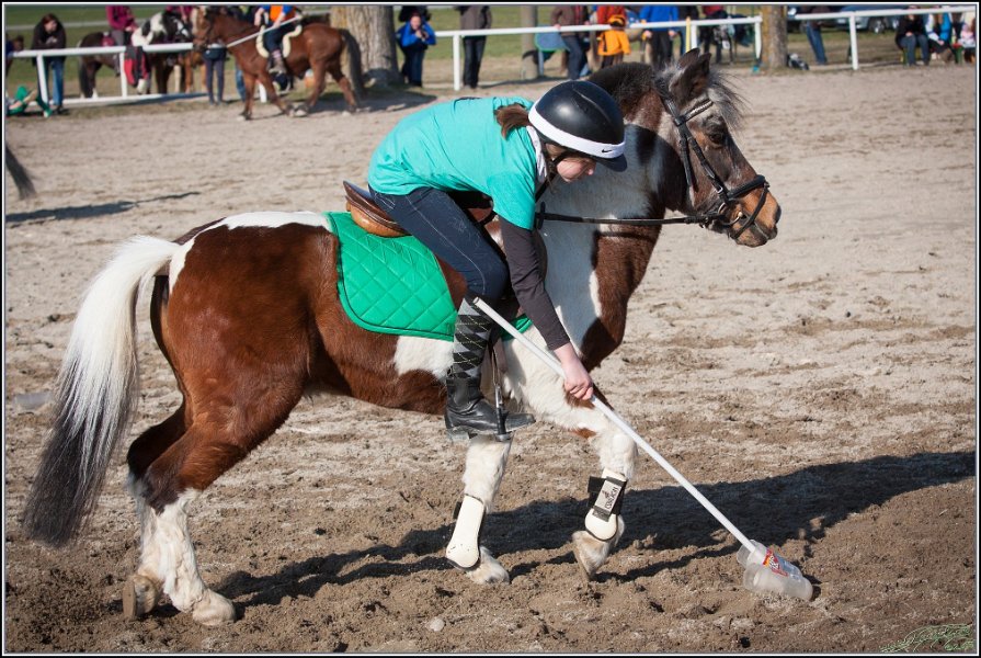 MountedGamesBayrischeMeisterschaft2015 370