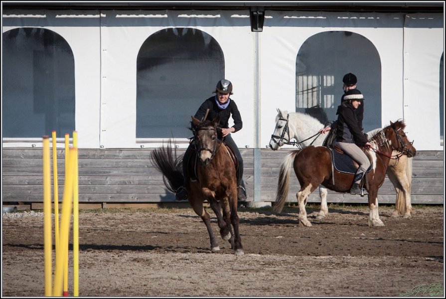 MountedGamesBayrischeMeisterschaft2015 372