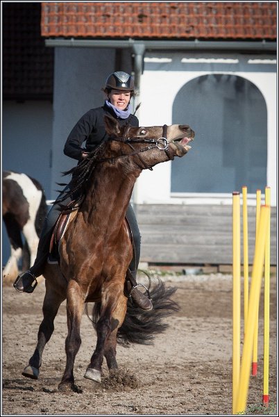 MountedGamesBayrischeMeisterschaft2015 373