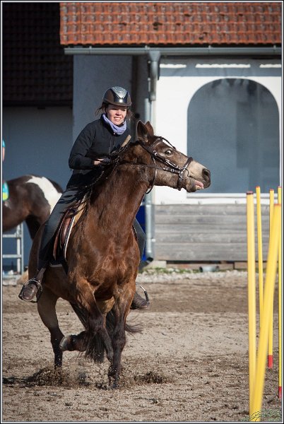 MountedGamesBayrischeMeisterschaft2015 374