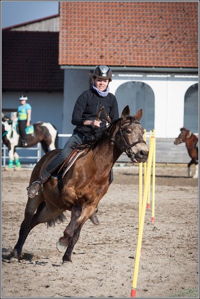 MountedGamesBayrischeMeisterschaft2015 375