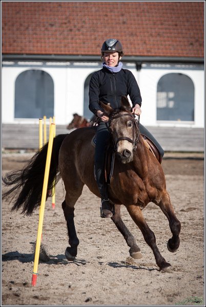 MountedGamesBayrischeMeisterschaft2015 376