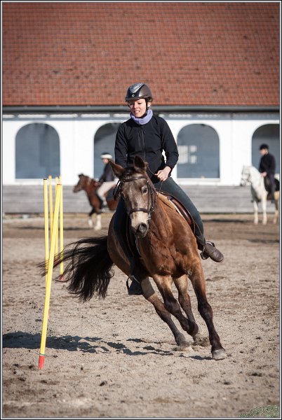 MountedGamesBayrischeMeisterschaft2015 377