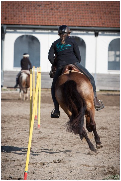 MountedGamesBayrischeMeisterschaft2015 378