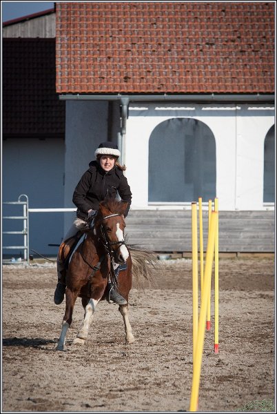 MountedGamesBayrischeMeisterschaft2015 379