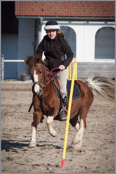 MountedGamesBayrischeMeisterschaft2015 380