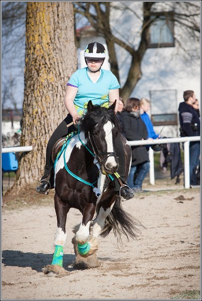 MountedGamesBayrischeMeisterschaft2015 381