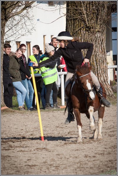 MountedGamesBayrischeMeisterschaft2015 383