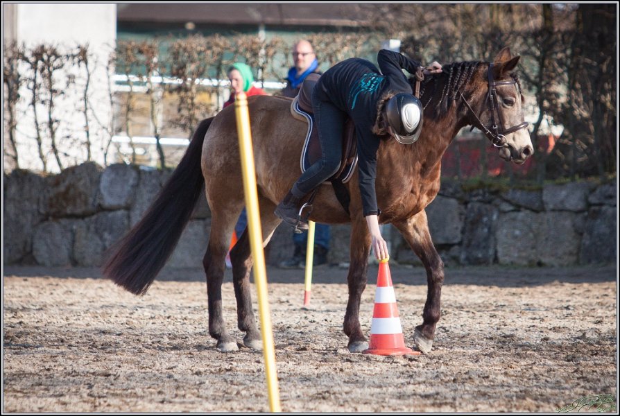 MountedGamesBayrischeMeisterschaft2015 384