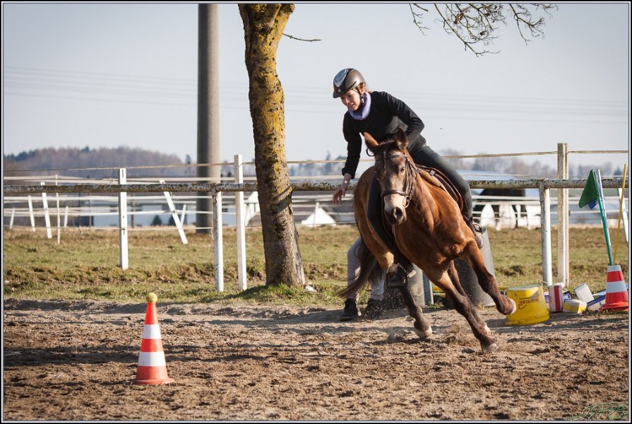 MountedGamesBayrischeMeisterschaft2015 385