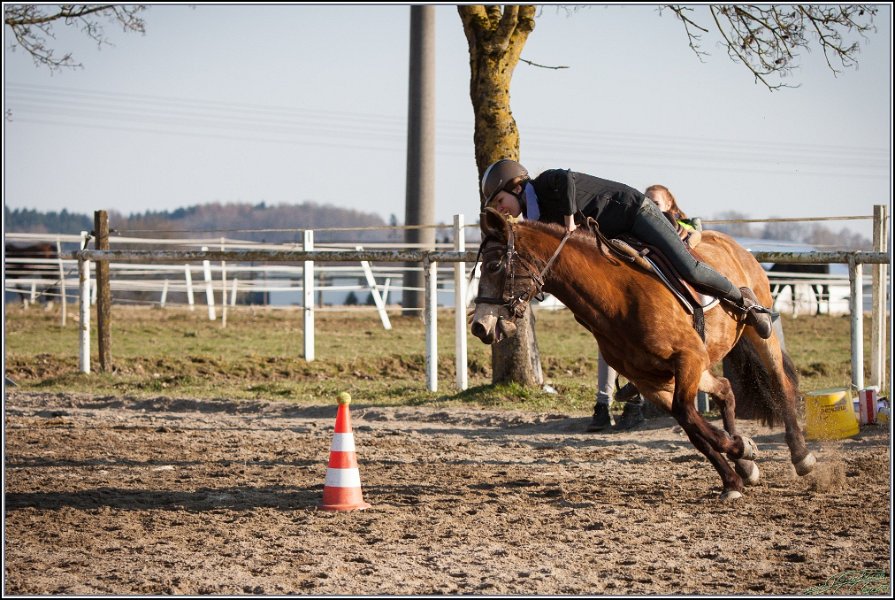 MountedGamesBayrischeMeisterschaft2015 386