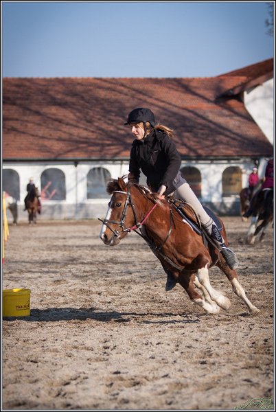MountedGamesBayrischeMeisterschaft2015 390