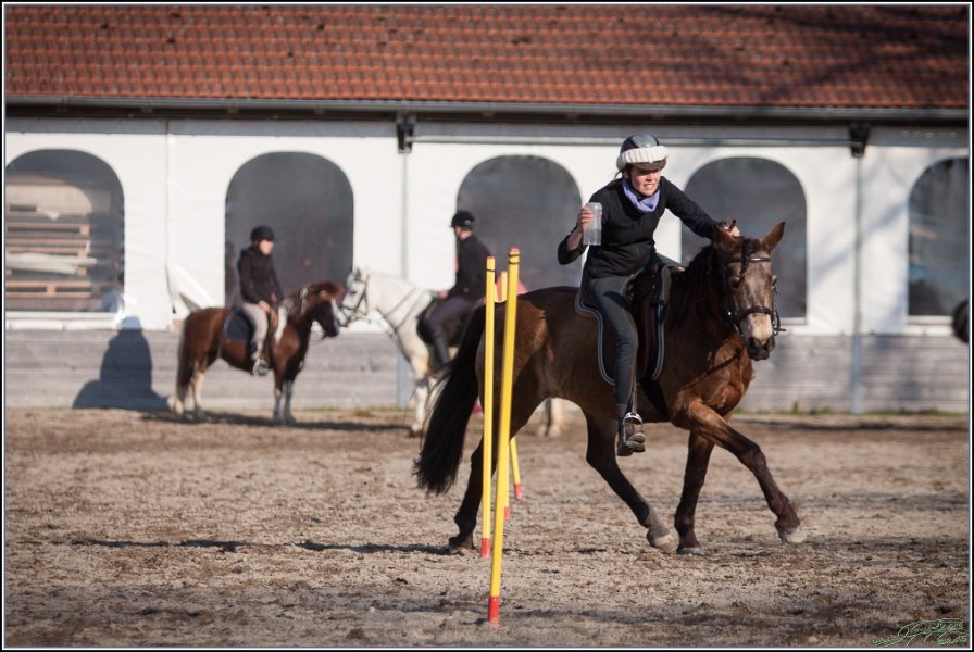 MountedGamesBayrischeMeisterschaft2015 391