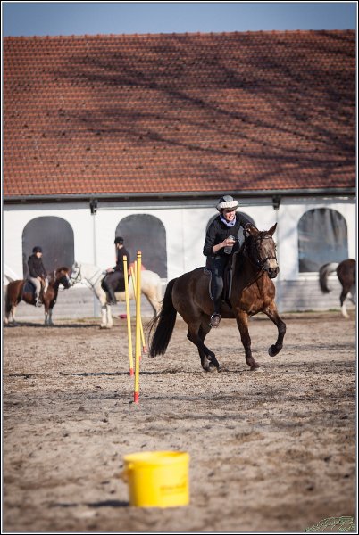MountedGamesBayrischeMeisterschaft2015 392