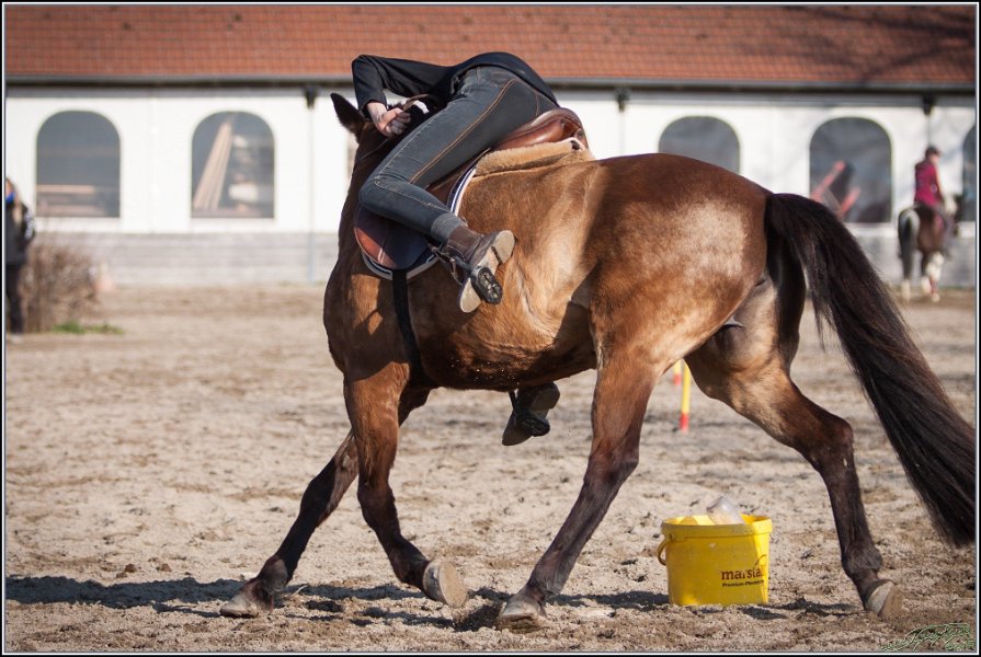 MountedGamesBayrischeMeisterschaft2015 393