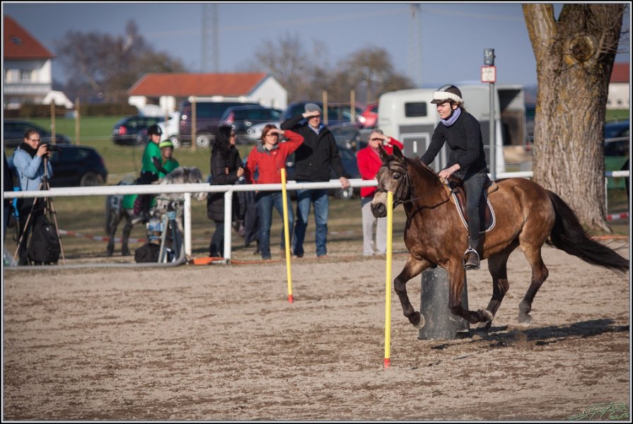 MountedGamesBayrischeMeisterschaft2015 394