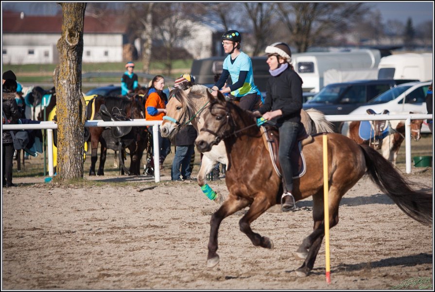 MountedGamesBayrischeMeisterschaft2015 396