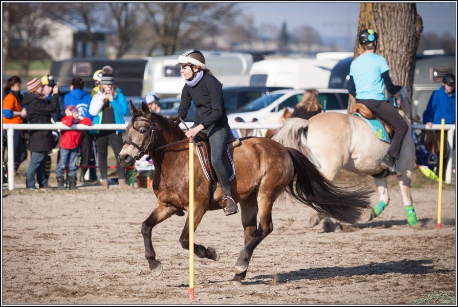 MountedGamesBayrischeMeisterschaft2015 400