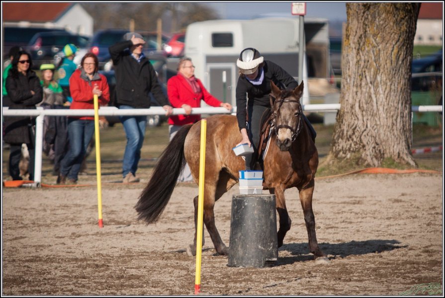 MountedGamesBayrischeMeisterschaft2015 401