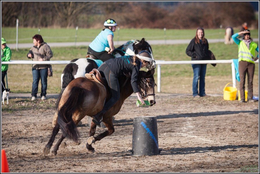 MountedGamesBayrischeMeisterschaft2015 402