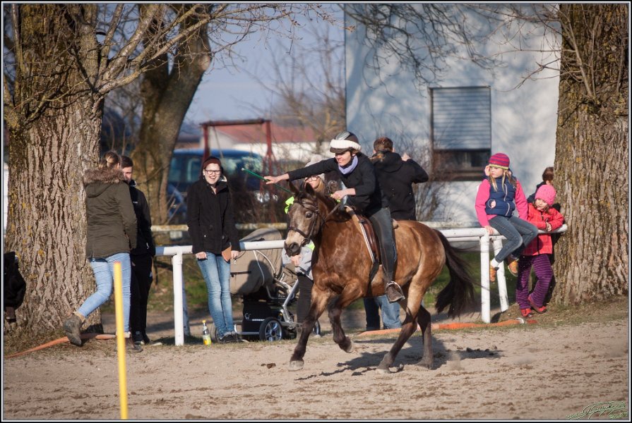 MountedGamesBayrischeMeisterschaft2015 404
