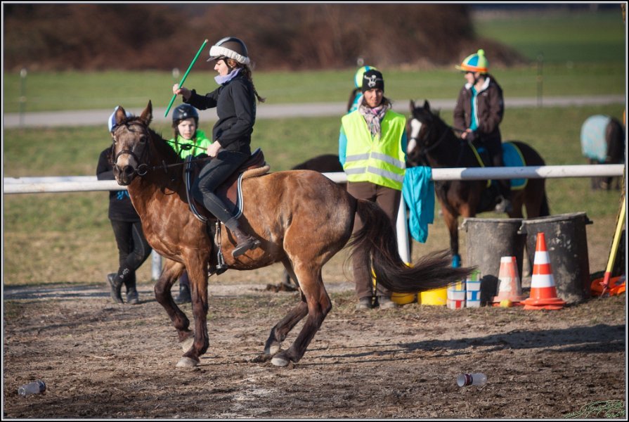 MountedGamesBayrischeMeisterschaft2015 406