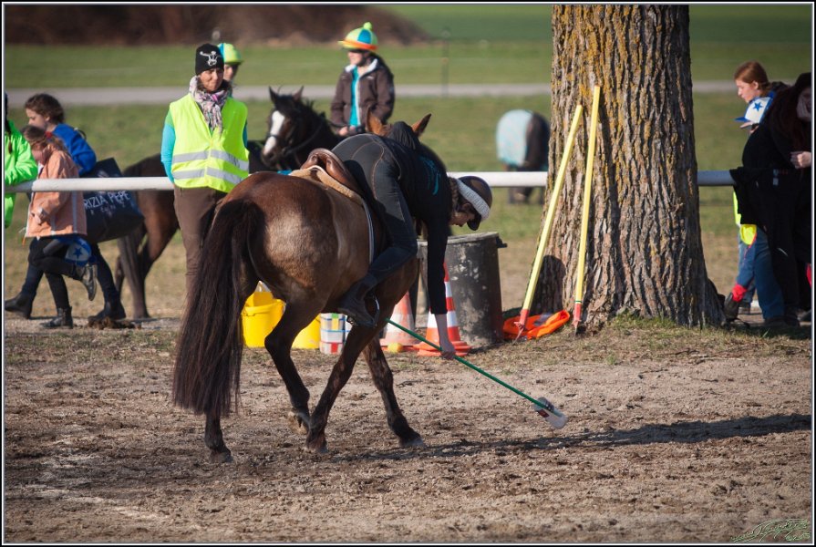 MountedGamesBayrischeMeisterschaft2015 407