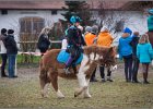 MountedGamesBayrischeMeisterschaft2015 001