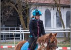 MountedGamesBayrischeMeisterschaft2015 002