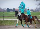 MountedGamesBayrischeMeisterschaft2015 006