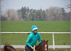 MountedGamesBayrischeMeisterschaft2015 013