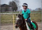 MountedGamesBayrischeMeisterschaft2015 015