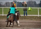 MountedGamesBayrischeMeisterschaft2015 017