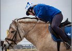 MountedGamesBayrischeMeisterschaft2015 020