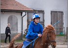 MountedGamesBayrischeMeisterschaft2015 021