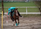 MountedGamesBayrischeMeisterschaft2015 022