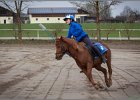 MountedGamesBayrischeMeisterschaft2015 024