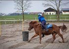 MountedGamesBayrischeMeisterschaft2015 025