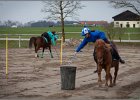 MountedGamesBayrischeMeisterschaft2015 026
