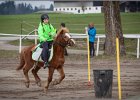 MountedGamesBayrischeMeisterschaft2015 028
