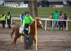 MountedGamesBayrischeMeisterschaft2015 029