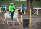 MountedGamesBayrischeMeisterschaft2015 033