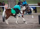 MountedGamesBayrischeMeisterschaft2015 036