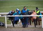 MountedGamesBayrischeMeisterschaft2015 037