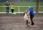 MountedGamesBayrischeMeisterschaft2015 038